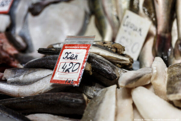 Выбираем рецепты калининградской кухни: тушеный хек в томатной пасте