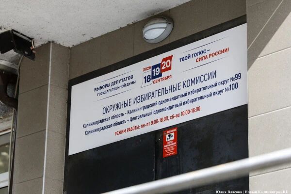 Москвичи, элистинец и омич: кто баллотируется в Госдуму от Калининградской области