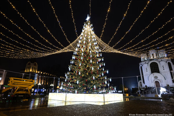 Конусу конец: как выглядит центр Калининграда с новой ёлкой 