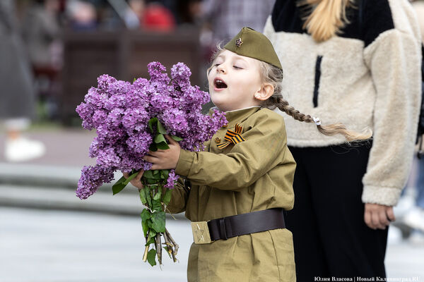 9 мая: калининградцы празднуют День Победы