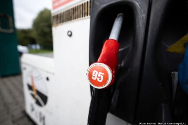 АИ-95 подорожал почти на три рубля: как изменились цены на АЗС Калининграда за две недели