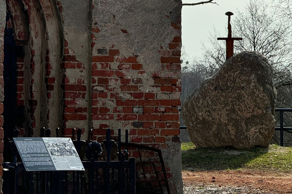 Вечерний @Калининград: памятник вождю, мечты и реалии Славска, день пернатых