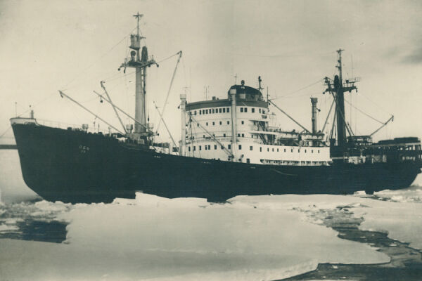 Музей Мирового океана открывает выставку «К берегам Антарктиды»