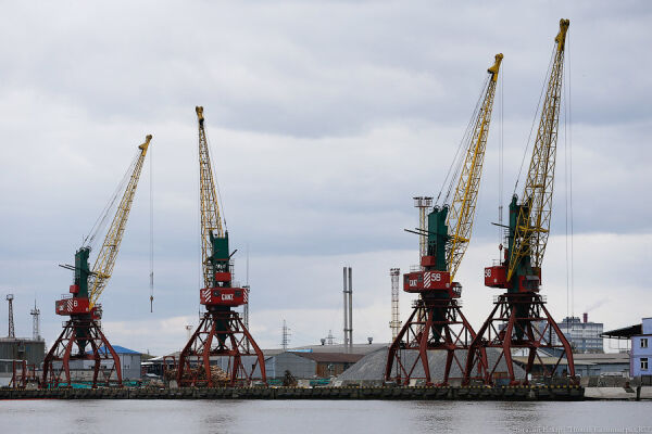 Сделки с последствиями: что рассказали в суде о продаже акций Калининградского торгового порта