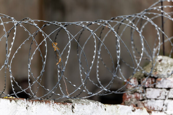 Вечерний @Калининград: срок за донат, собачий холод и сказки Гофмана