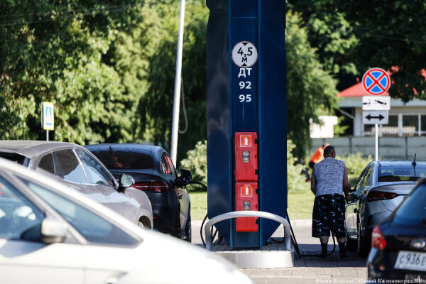 Новости Калининграда: топливный кризис продолжается, дело Мельникова и капибара