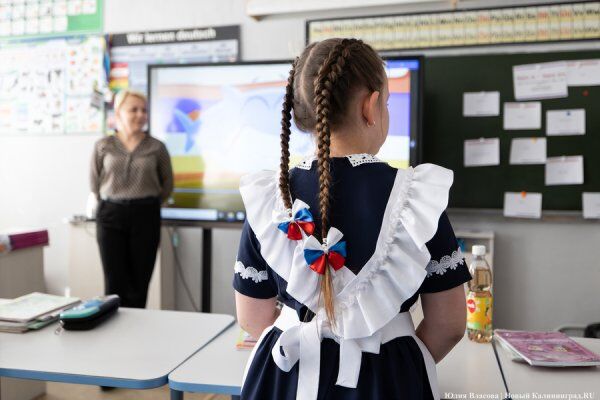 Топ-10 лучших школ Калининградской области в 2026 году возглавила гимназия № 40