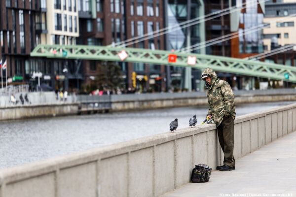 Вечерний@Калининград: долгожданное открытие, протест жильцов и отзвуки войны