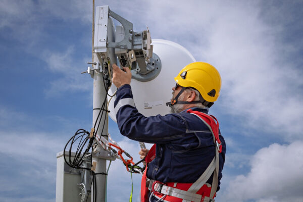 Мобильный трафик в Калининградской области за год вырос на 25% в сети «Билайн»