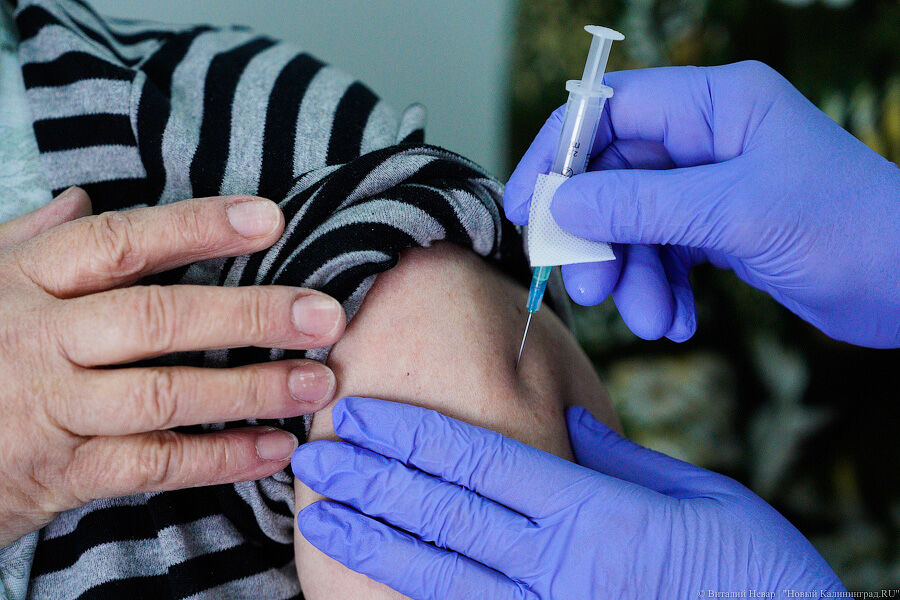 прививку от коронавируса. вакцинация в калининграде. прививка от коронавируса для подростков. вакцина от ковида. вакцины в наличии.