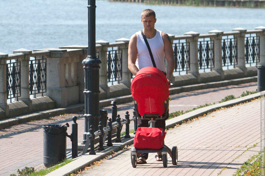 Минтруд хочет ввести в России «отцовский» капитал для одиноких мужчин с детьми