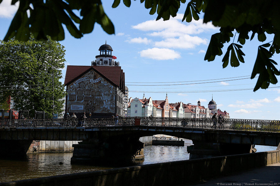 калининград туристы. калининград отзывы. калининград. калининград город для жизни. экскурсии в калининграде и калининградской области 2021.