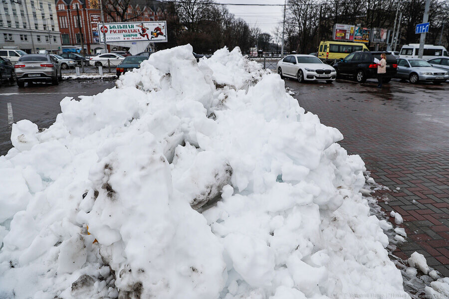 Долго ждать снега. Снег в Калининграде. Зима не может существовать без снега. Когда пойдёт снег в Калининграде. Рекордное количество снега на Дальнем востоке.