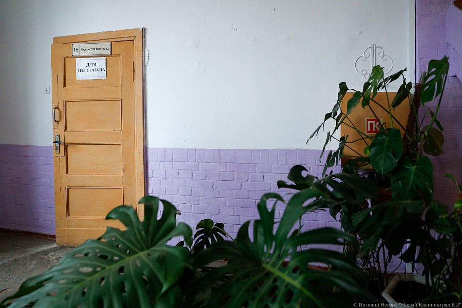 Губернаторский номер: как Антон Алиханов в Гвардейск ездил