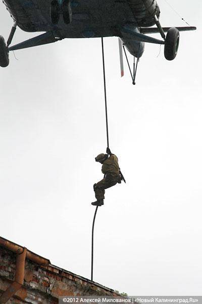 «Под флагом Башара»: фоторепортаж с антитеррористических учений