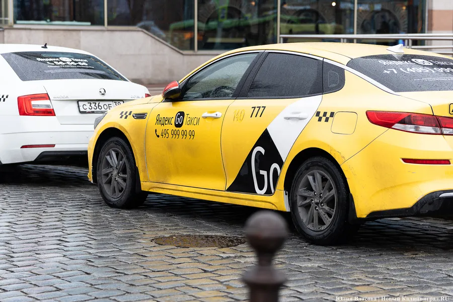 В Калининградской области сотрудники полиции провели рейд «Иностранный водитель» (видео)