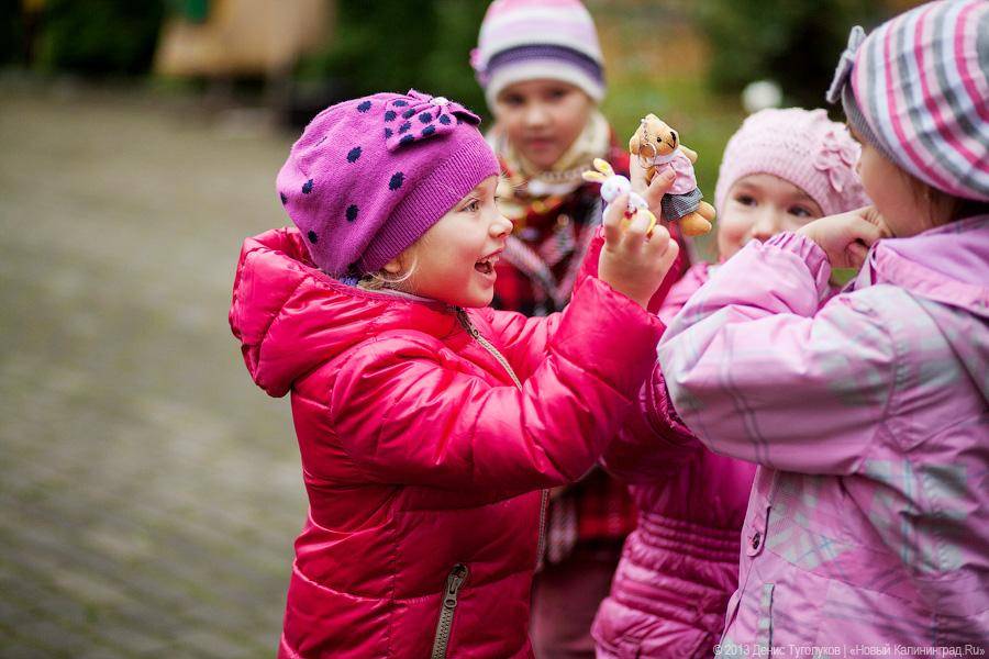 Вершки и корешки: как в Полесске отметили День картошки