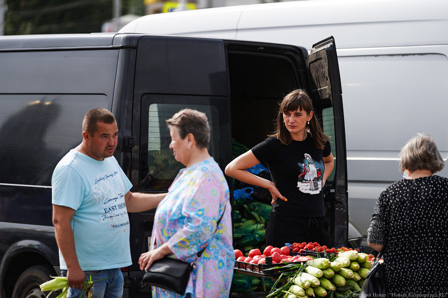 Базар-вокзал: как проходит сельхозярмарка на площади Победы в Калининграде