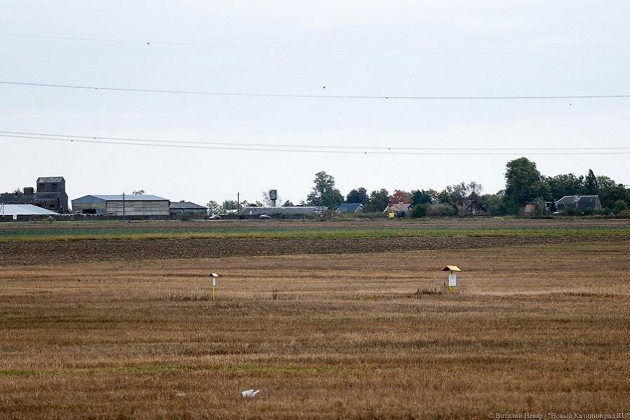Приставы заблокировали «приватизированную» компанией отца экс-помощника Алиханова землю