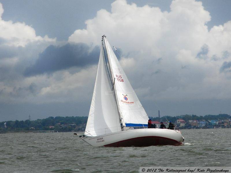 «Чемпионы залива»: репортаж с трансграничной регаты на кубок Калининградского залива