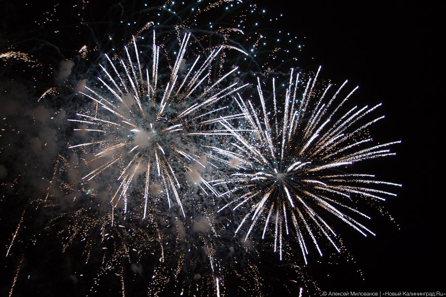 Фото — Алексей Милованов, «Новый Калининград»
