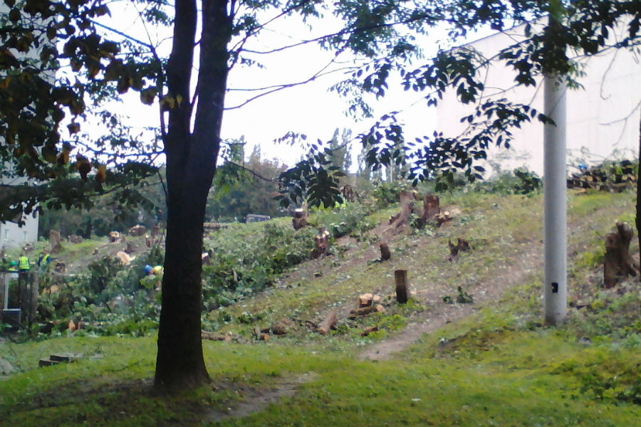 Фото — Евгений Базуев.