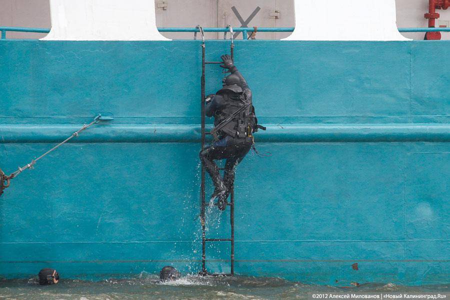 «Под флагом Башара»: фоторепортаж с антитеррористических учений