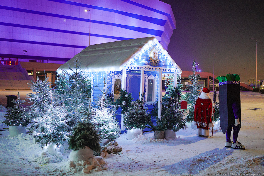 Свая Эдик вместо Снегурочки: у стадиона «Калининград» появился Домик Деда Мороза (фото)