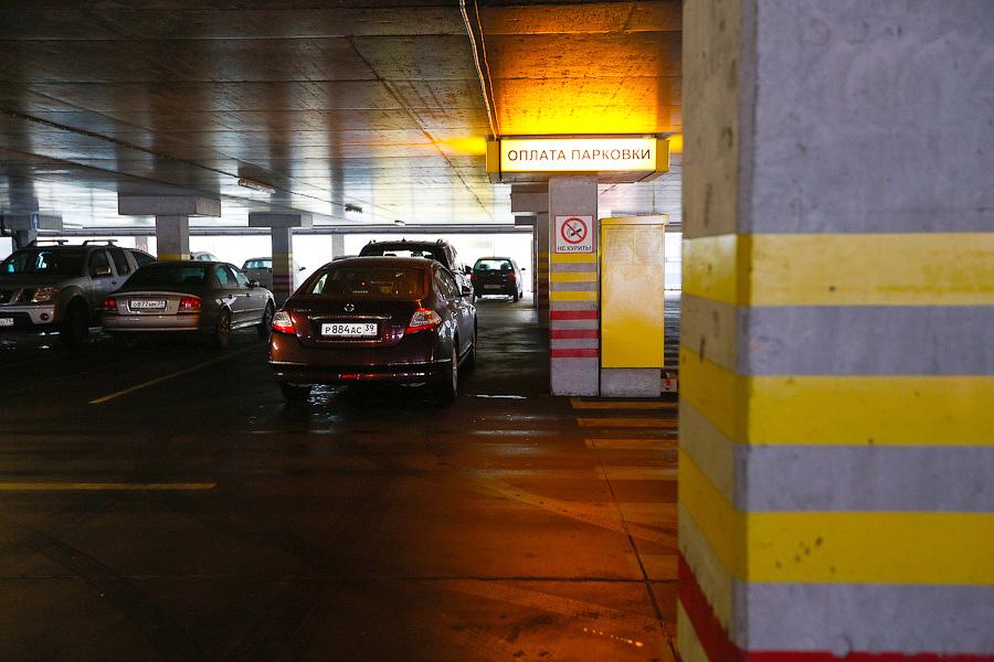 Фото — Виталий Невар, «Новый Калининград.Ru»