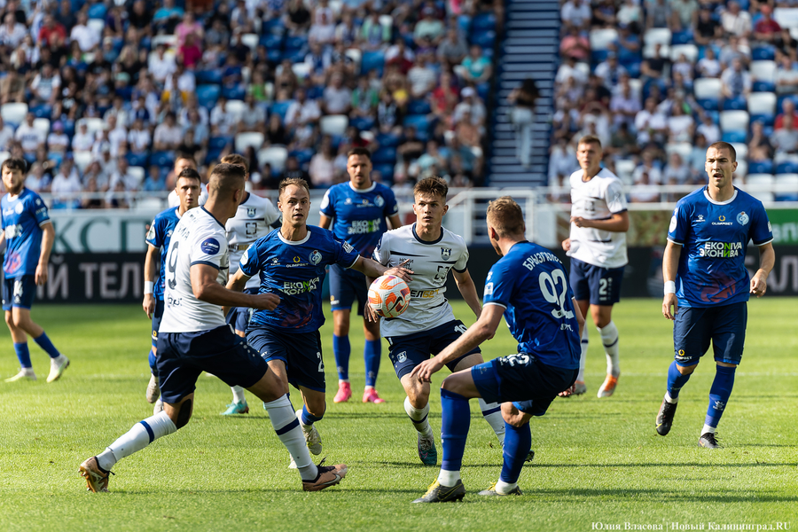 Фото: Юлия Власова / Новый Калининград