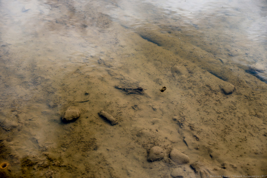 Всё для водного спорта: как поживают съезды со Второй эстакады
