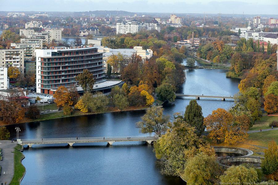 Фото — Виталий Невар, «Новый Калининград.Ru»