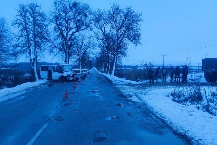 В ДТП под Правдинском пострадали два человека (фото)