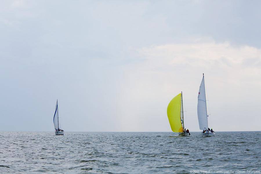 "Гонки под парусами": фоторепортаж "Афиши Нового Калининграда.Ru"