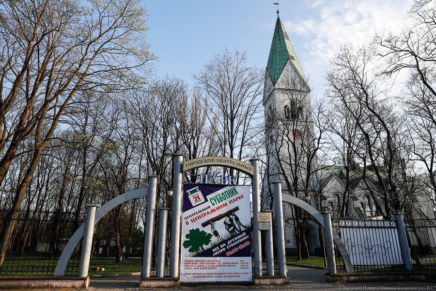 «Места постоянного присутствия»: в Калининграде решили за пять лет привести в порядок восемь парков