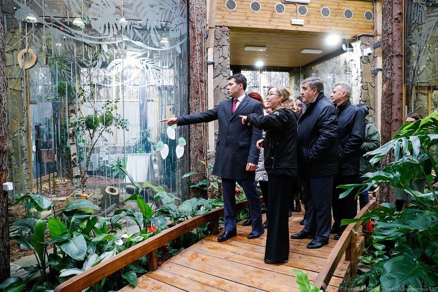 В зоопарке открыт Дом тропической птицы. Посмотрите на жако и спящего трубкозуба