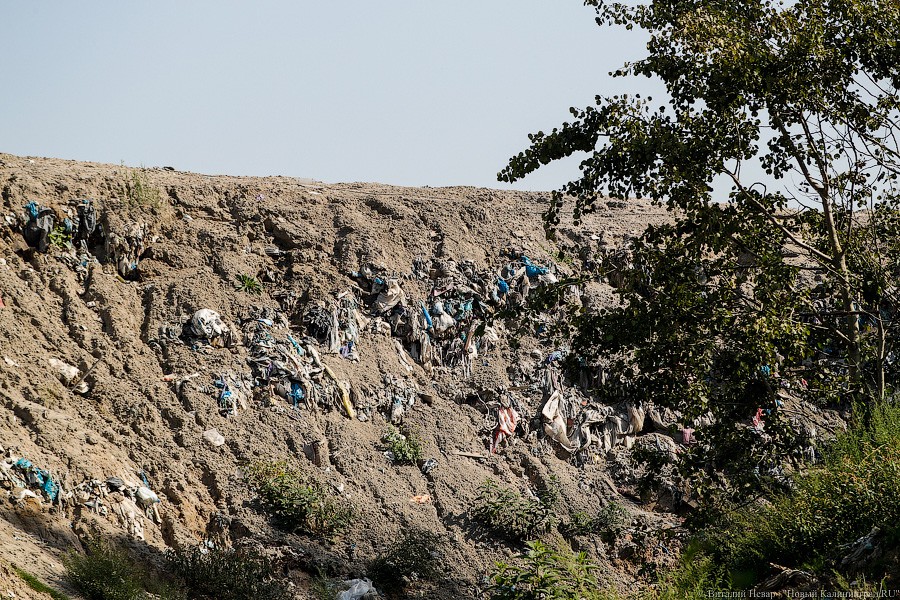 Закрытие полигона в Круглово отложили до 23-24 года, свалку в Ельняках хотят «вывести» в этом году