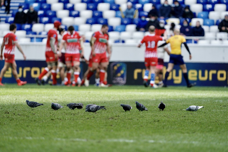 20 марта: матч по регби между командами России и Грузии в Калининграде 