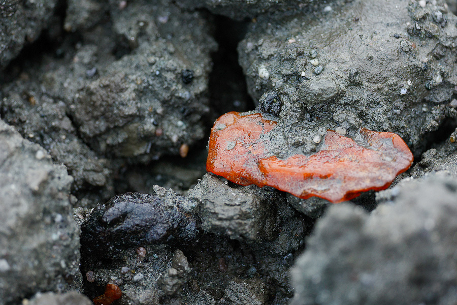 «Янтарь любит человека»: как живет единственный в мире Янтарный комбинат