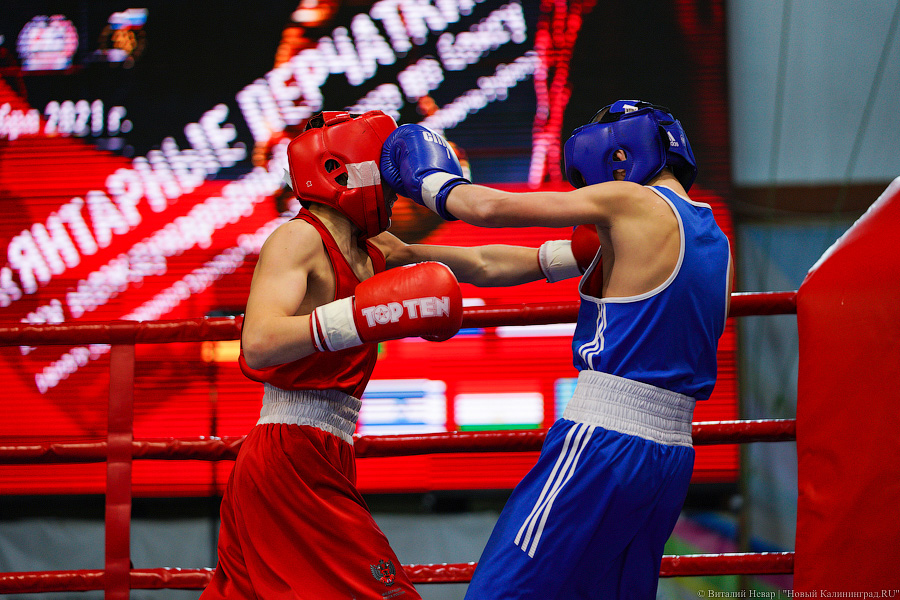 Очередной нокдаун: в Калининграде прошёл международный турнир по боксу «Янтарные перчатки»