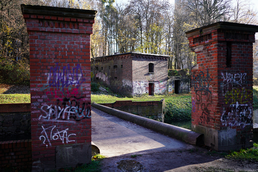 «Мы знали только о войне»: калининградец открывает музей ресторанной жизни Восточной Пруссии