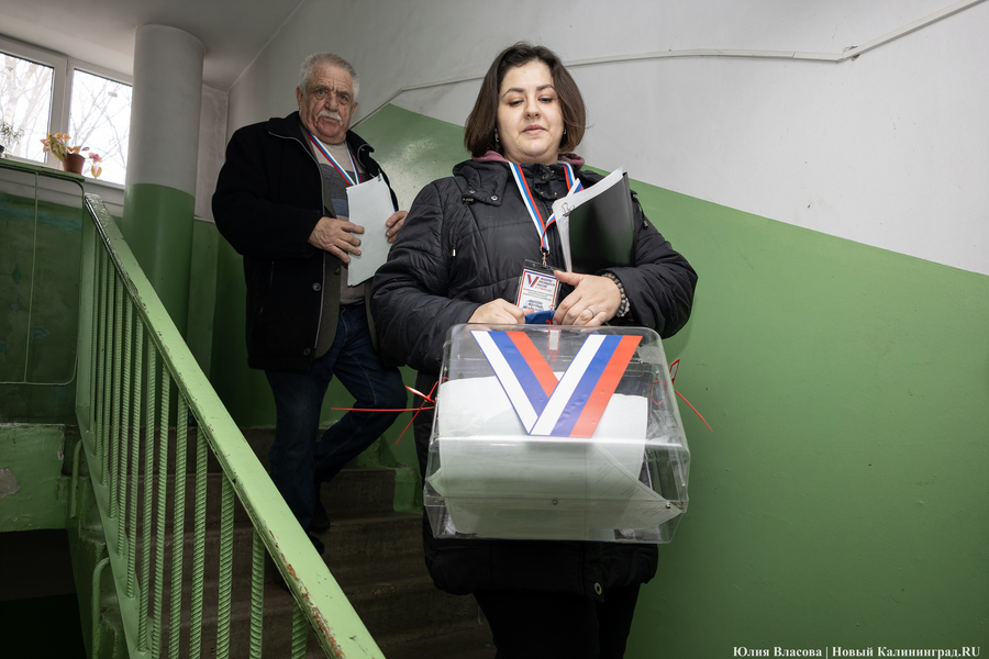 Один на ринге: как проходило голосование в Калининградской области (фото)