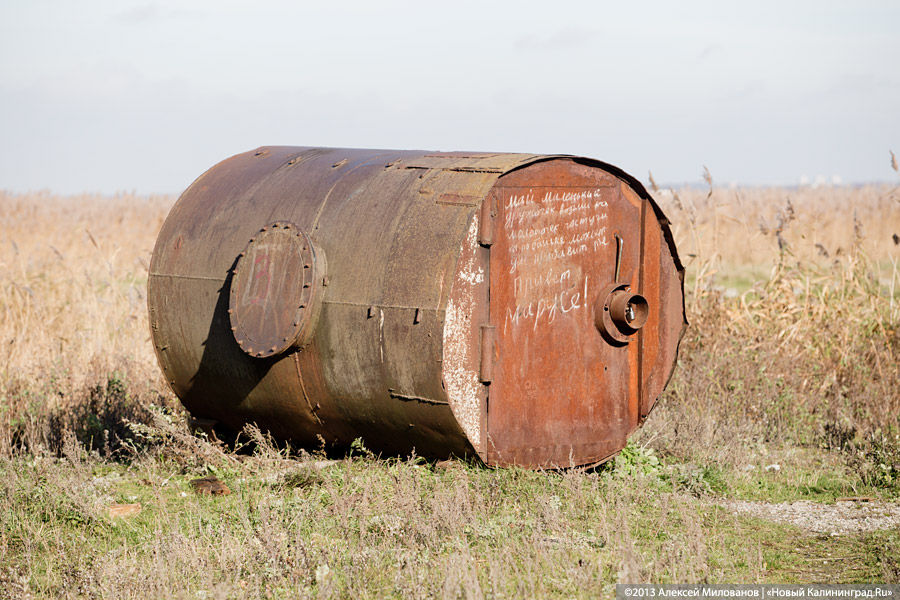 Фото — Алексей Милованов, «Новый Калининград»