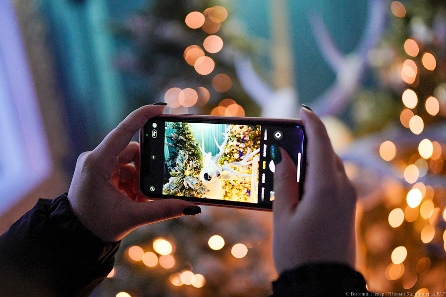 Свая Эдик вместо Снегурочки: у стадиона «Калининград» появился Домик Деда Мороза (фото)