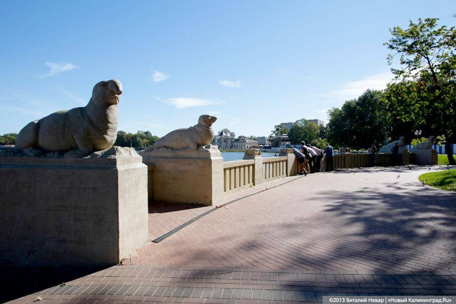 Питерские реставраторы: скульптуры морских котиков на Верхнем озере могут быть потеряны (фото)