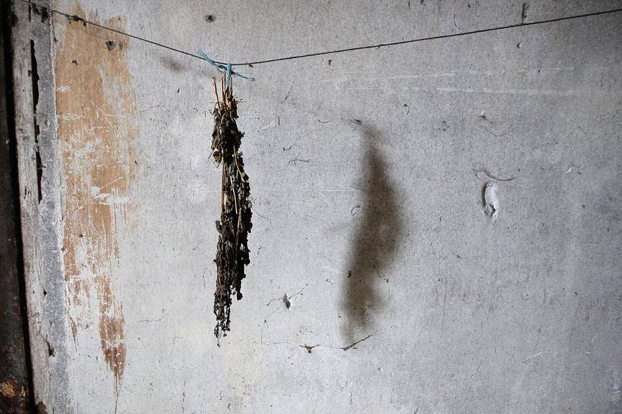 Кант в подвале и чужая история: как прошло выездное заседание совета по культуре в Веселовке