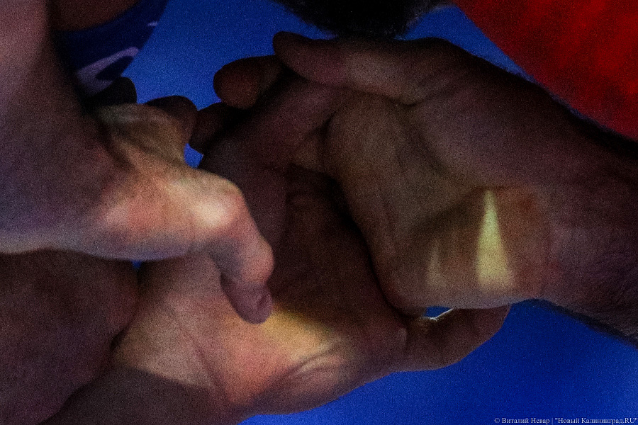 Просто мощь: чемпионат России по греко-римской борьбе идет в Калининграде (фото)