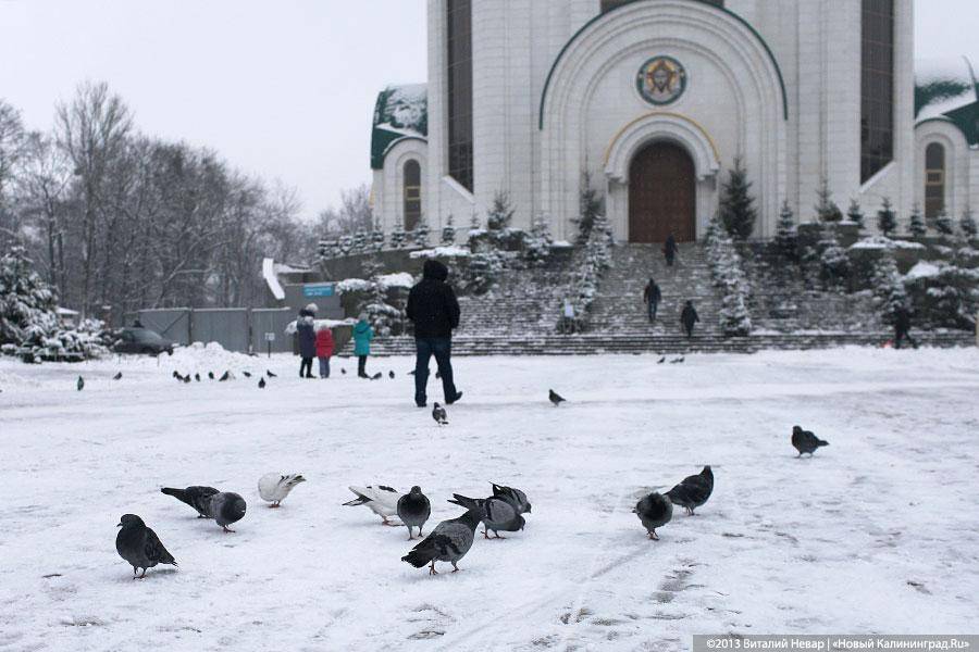 «А снег идёт»: фоторепортаж с заснеженных улиц