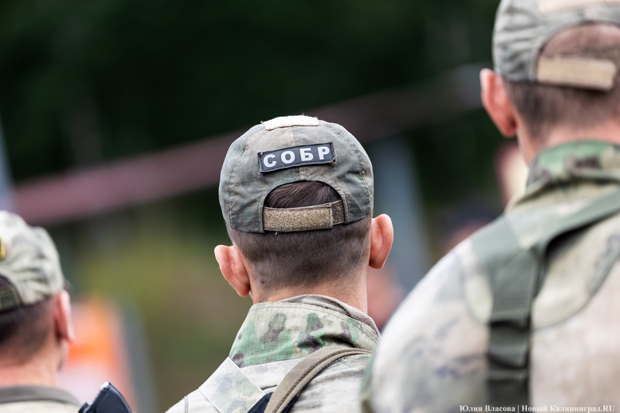 Таможенный спецназ: как проходит чемпионат по служебному двоеборью в Калининградской области (фото)