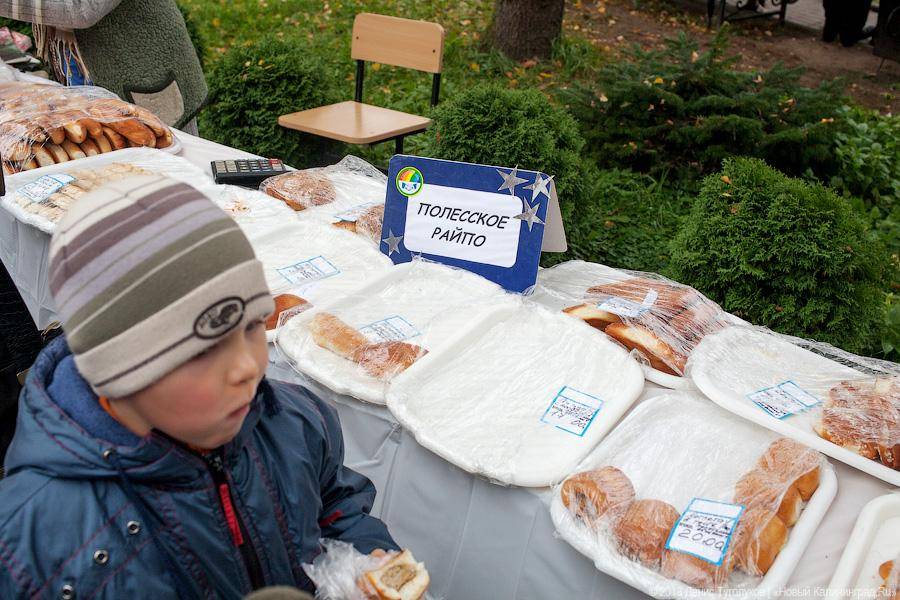 Вершки и корешки: как в Полесске отметили День картошки